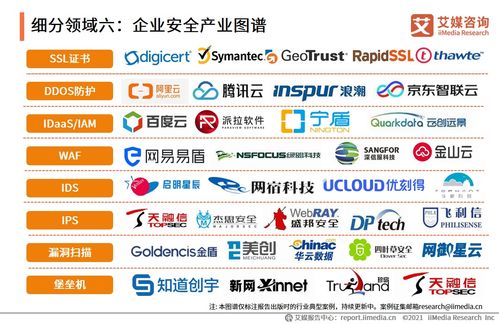 2021上半年中国企业服务专题研究报告 企业管理信息咨询服务的现状与展望