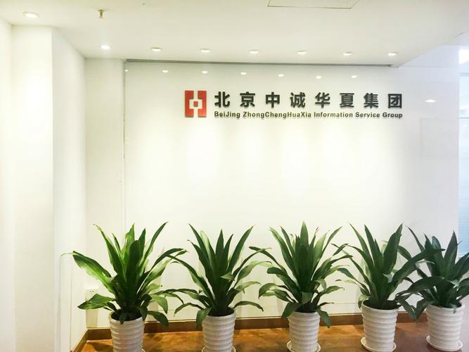 宋志伟企业经营范围解析 经济贸易咨询、企业管理咨询与信息服务的协同价值